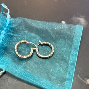 Elegant Silver Hoop Earrings